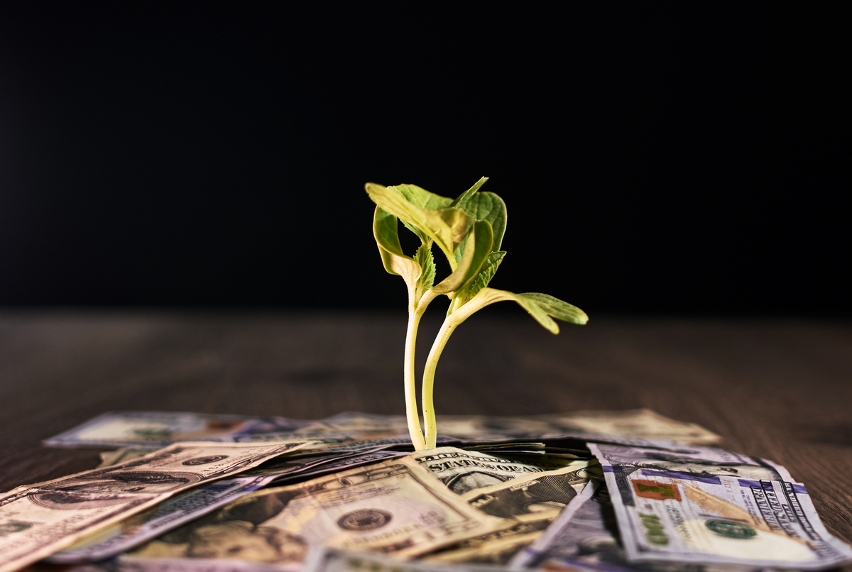 Are Biblia ceva de spus despre veniturile tale?