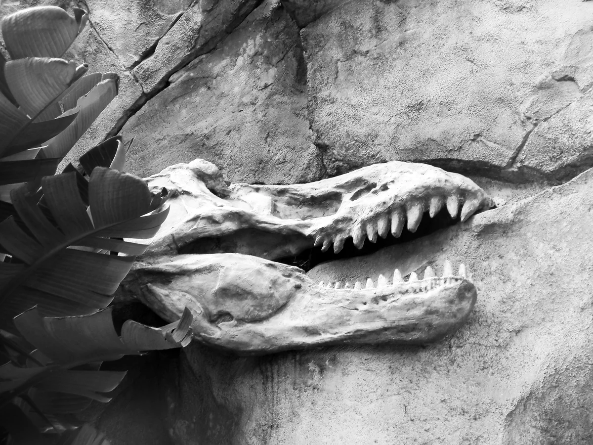 Ce spune Biblia despre dinozauri