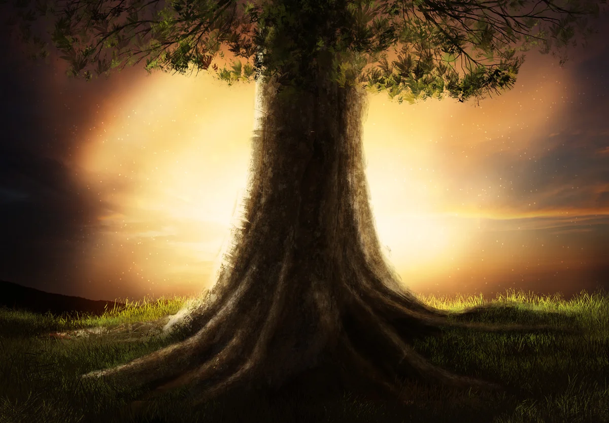 Ce spune Biblia despre pomul cunoștinței binelui și răului